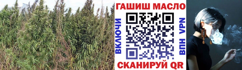 ТГК THC oil  kraken как войти  маркетплейс телеграм  магазин    Воткинск 