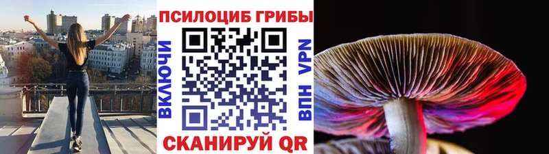 Галлюциногенные грибы мицелий  Воткинск 