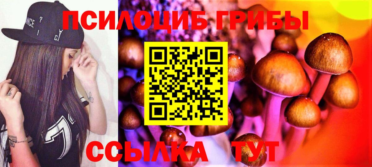 Воткинск  Галлюциногенные грибы Psilocybe  Вход с VPN  Псилоцибиновые грибы Psilocybine cubensis 